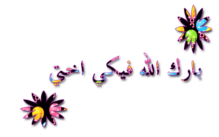 223.gif