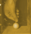 227.gif
