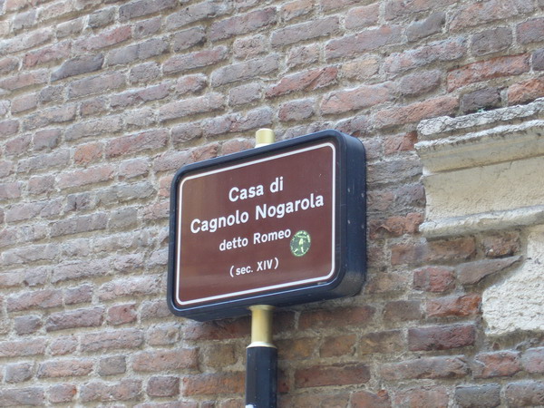 2728.jpg