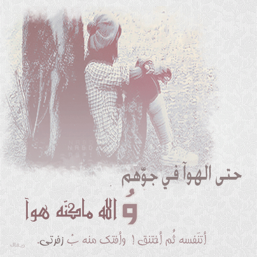 317.gif