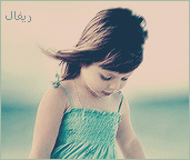 338.gif
