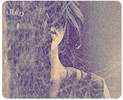 341.gif