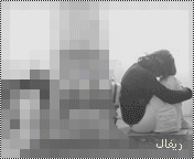 342.gif