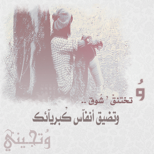 353.gif