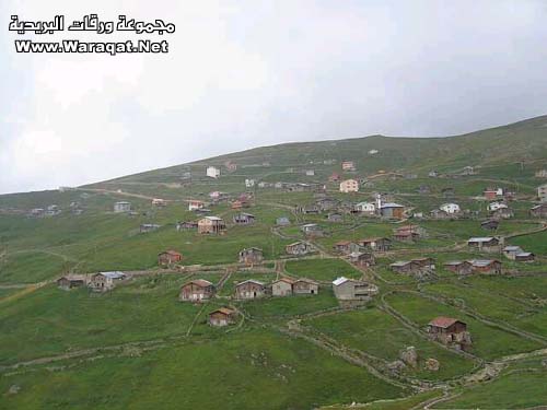 3567.jpg