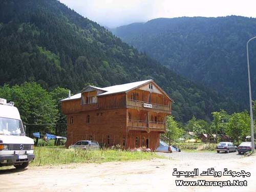 3574.jpg