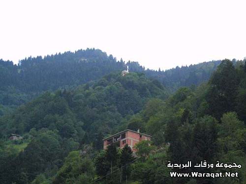3575.jpg
