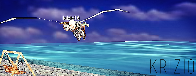 498.jpg