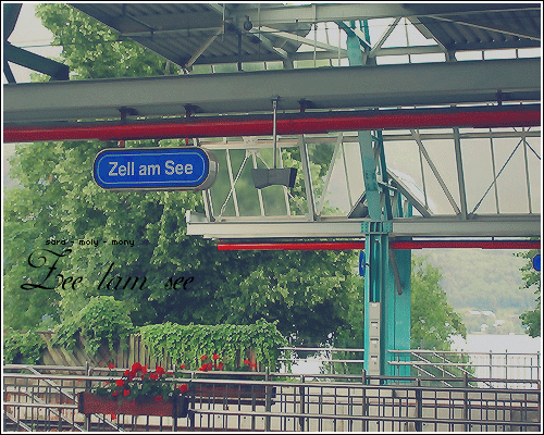 701.gif
