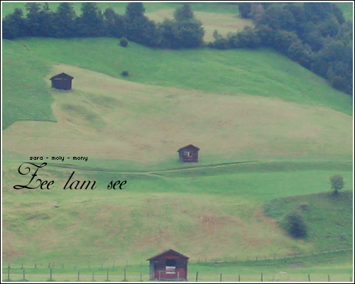 702.gif