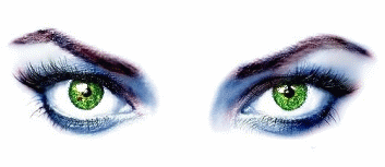 730.gif