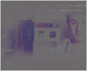 795.gif