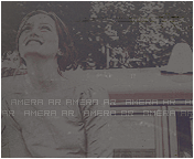 799.gif