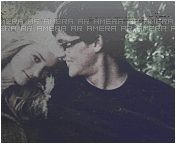 804.gif