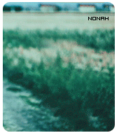851.gif