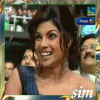 241.gif