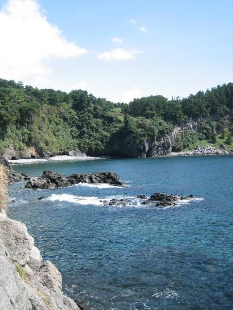 2547.jpg