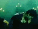 266.gif