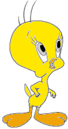 305.gif