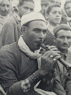 3178.jpg