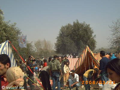 3249.jpg