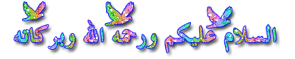 364.gif