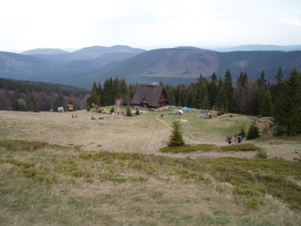 390.jpg