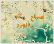 528.gif