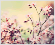 530.gif