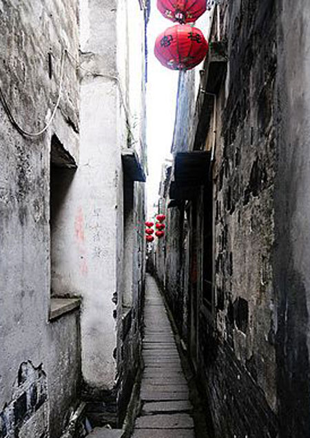 534.jpg