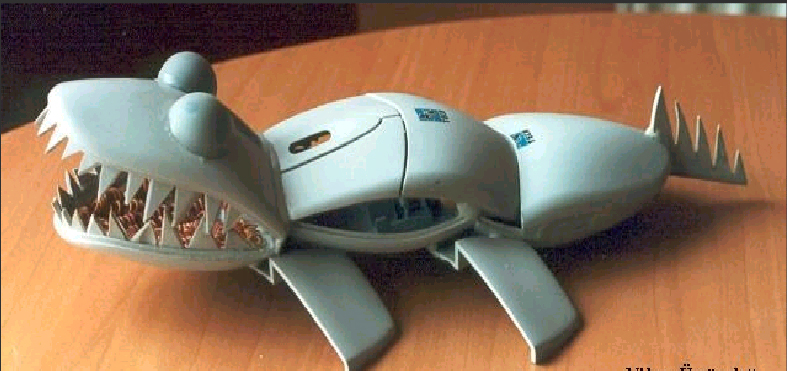 590.jpg