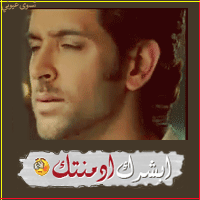 711.gif