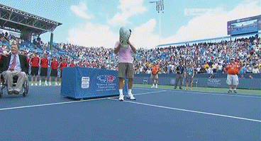 800.gif