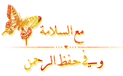 804.gif
