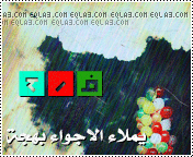 12.gif