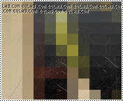 13.gif