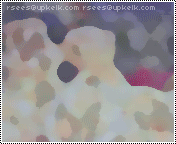 224.gif