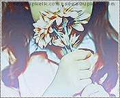 227.gif