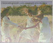 229.gif