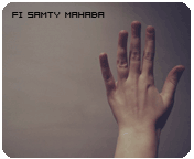 267.gif