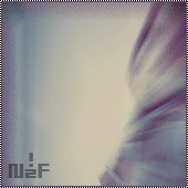 448.gif
