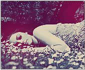 477.gif