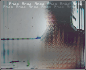 529.gif