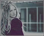 533.gif