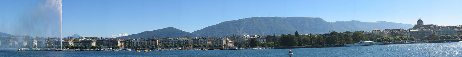 533.jpg