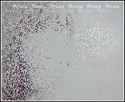 534.gif