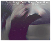 536.gif