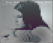 537.gif