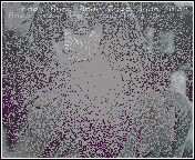 539.gif