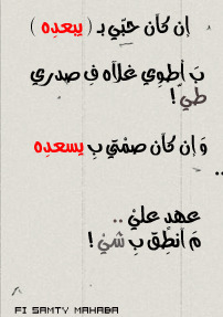 795.jpg